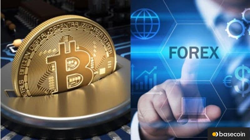 forex trader