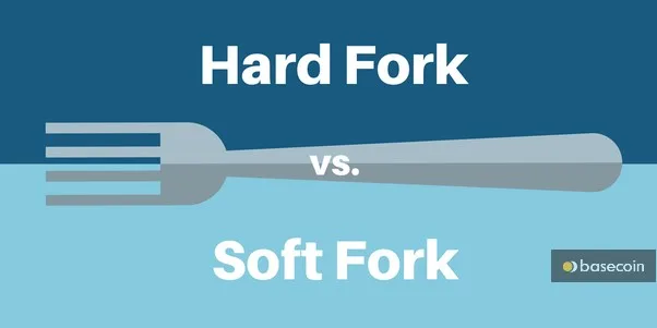 forks fork
