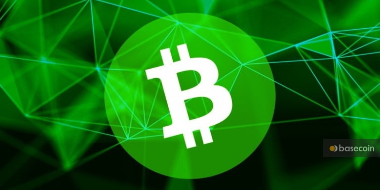 bitcoin cash-bch